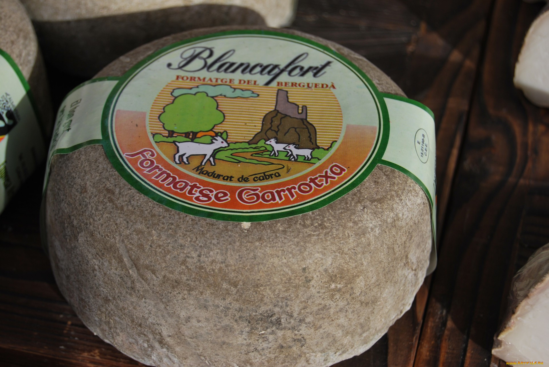 garrtoxa blancafort, ,  , 